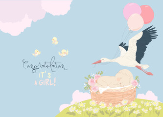 Stork delivering Baby Girl. It s a Girl. Baby Shower Card