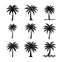 palm tree silhouette bundle