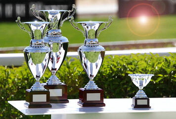 Copas de trofeo en metal de plata brillante para ganadores del campeonato