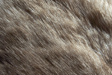 Close-up view of soft brown animal fur texture with natural fibers and detailed patterns.