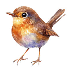 Wren Close Up, watercolor clipart vector, isolated on a white background.