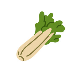 Icon of fresh celery. Vegetable with green leaves. Organic farm food for natural eating, healthy nutrition. Agriculture crop, greenery harvest. Flat isolated vector illustration on white background