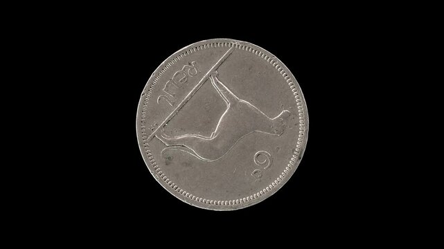 Ireland 1964 sixpence coin reverse with Irish wolfhound rotating on black background