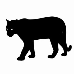 Silhouette of a Walking Panther Isolated on White Background
