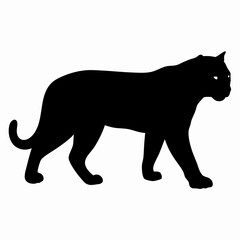 Silhouette of a Walking Panther Isolated on White Background
