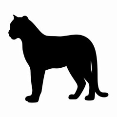 Silhouette of a Walking Panther Isolated on White Background
