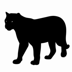 Silhouette of a Walking Panther Isolated on White Background
