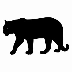 Silhouette of a Walking Panther Isolated on White Background
