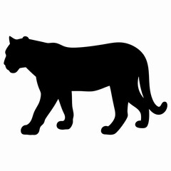 Silhouette of a Walking Panther Isolated on White Background
