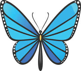 Colorful butterfly . Vector illustration