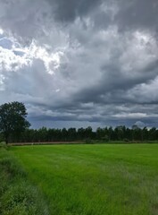 Dramatic Cloudy Sky Over Lush Green Field with Trees in Background