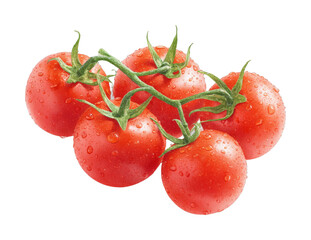 Fresh red cherry tomatoes with water droplets on the vine