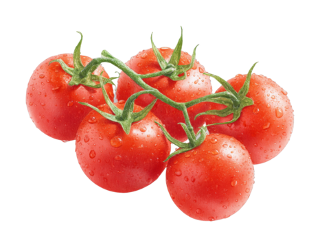 Fresh red cherry tomatoes with water droplets on the vine