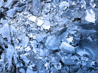 The texture is white gray ash from burnt leaves on the ground. Natural burnt paper