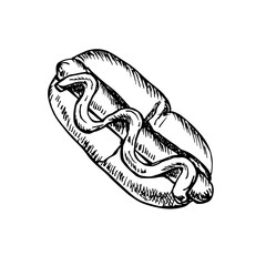 Hot dog outline sketch illustration. Sausage in a bread bun drawing in engraving style, fast food hand-drawn vector clipart isolated on a white background