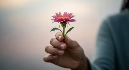 Person holding a pink flower, offering a gift of love and care.