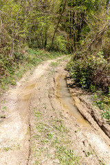 A dirt road with a small stream running through it