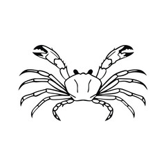 Bold crab sketch showcasing its strong claws and segmented legs in striking monochrome style