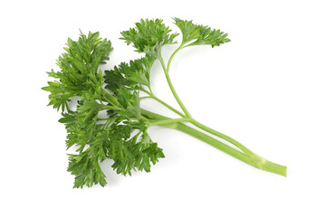 Sprig of fresh parsley isolated on white, top view