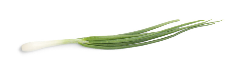 Fresh ripe green onion isolated on white