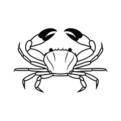 Outlined crustacean crab showcases strong claws and legs on a white surface