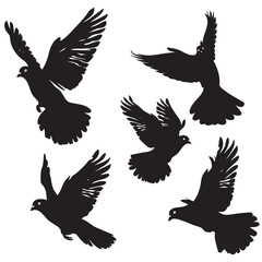 Obraz premium Pigeon silhouette, flying Pigeon silhouette vector 