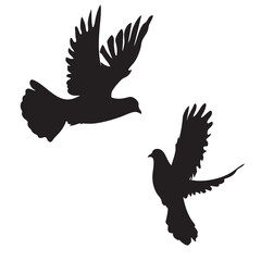 Fototapeta premium Pigeon silhouette, flying Pigeon silhouette vector 