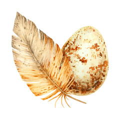 Watercolor illustration of a brown feather and speckled egg. A natural spring-themed composition perfect for Easter designs, wildlife projects, and rustic, eco-inspired creative works.