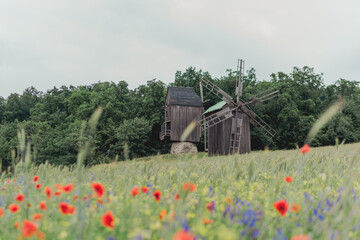 Windmill and Poppy Field in Ukrainian Countryside