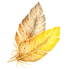 Watercolor illustration of two bird feathers in warm yellow and brown tones. Natural hand-painted composition suitable for spring designs, boho style, Easter decor, and rustic nature projects.
