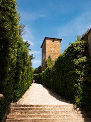 Italia, Toscana, Firenze, il Giardino di Boboli.
