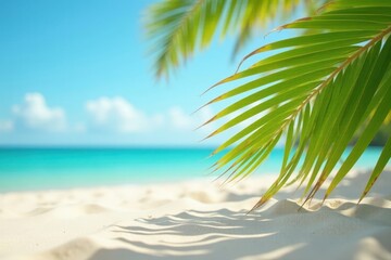 Fototapeta premium Crisp sand texture, in-focus shadow of palm frond, soft ocean backdrop, summery, nature, paradise