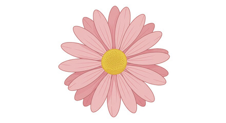 A delicately drawn pink daisy exudes tranquility radiating simple beauty and organic charm on transparent background