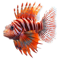 A vibrant lionfish with striking orange, white, and red stripes, featuring elaborate fin rays and a distinctive fan-like tail. Png, Transparent background.