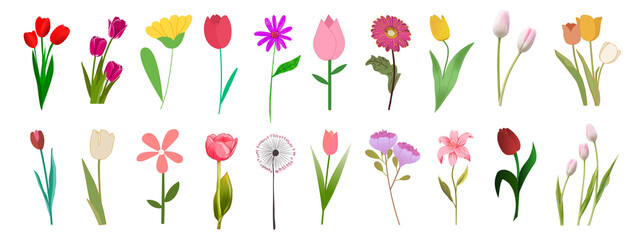 set of colorful tulips isolated on white background, Aesthetic tulip stickers PNG
