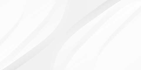 Modern white and gray color background. Dynamic shapes simple modern art abstract © Agung