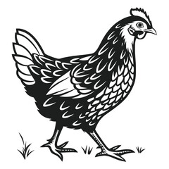 Monochromatic hen walks across the grass looking left, rendered in a vintage vector