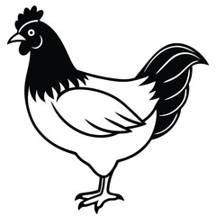 Black and white chicken stands facing left, with distinct feather details visible