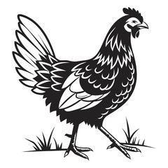 Monochrome chicken strides gracefully across sparse grass in a bold illustrative style
