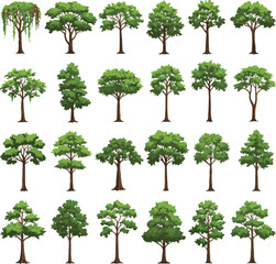 set of green trees isolated