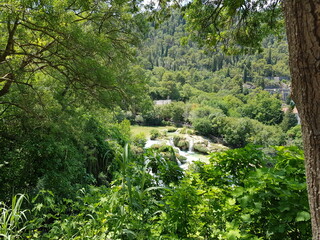 Fototapeta premium waterfall in the woods