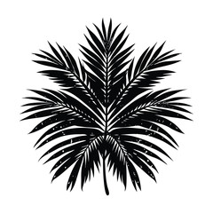 Naklejka premium grunge textured palm leaf white background