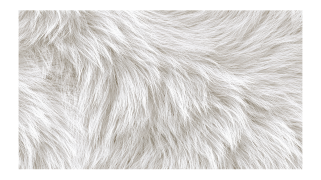 White fur texture displaying soft, plush fibers with delicate tonal gradients, enhancing elegant design elements against transparent backdrop