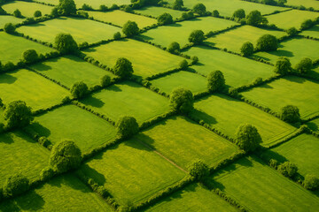 Sunny Fair Meadow Landscape – Bright Summer Field with Green Grass and Blue Sky

