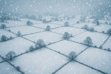 Snow-Covered Fair Meadows – Aerial Winter Landscape with Scenic Snowfall and Frozen Fields

