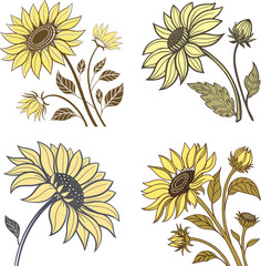 set of sunflowers