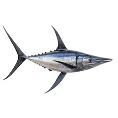 Fototapeta premium A sleek silver fish with a pointed snout and long fins, streamlined for fast swimming in open water. Png, Transparent background.