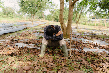 Exhausted Farmer Sitting Under Tree with Hoe After Field Work