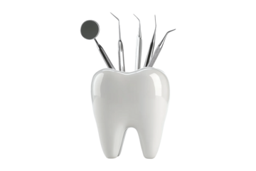 White tooth holder with dental tools for clinic or dental education concept isolated on transparent or white background, png