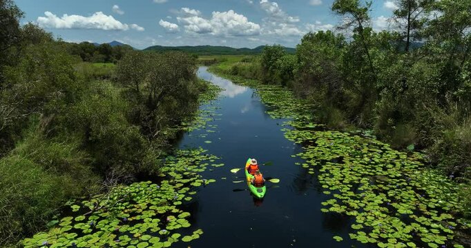 Travel Kayaking Paddling Transparent Canoe Kayak in peat swamp forest wetlands at, Rayong botanic garden, A Wetland Sanctuary of Eastern Thailand, aerial view 4k video.
